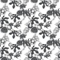 Figs seamless pattern. Vector hand drawn illustration on white background. Botanical fruit sketch texture. Graphic old print, engraving technique. Design for fabric, wrapping paper, wallpaper.