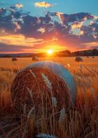 AI generated Hay bale in the field at sunset photo