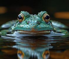 ai generado verde rana es sentado en el agua con sus cabeza encima el superficie foto