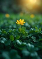 AI generated Yellow flower blooming in the morning light on green field photo