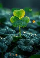 AI generated Green four leaf clover and some dew on it photo