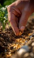 AI generated Hand sowing seeds in the soil photo