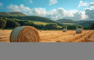 AI generated Hay bales on field after harvest with hills in the background photo