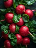 AI generated Fresh radishes with water drops on dark background photo