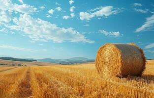 AI generated Hay bales on the field after harvest photo