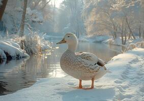 AI generated a white duck standing in the snow in the winter photo