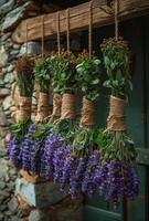 AI generated Bundles of fresh herbs hanging on the wall photo