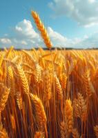 AI generated Wheat field on the bright sunny day photo