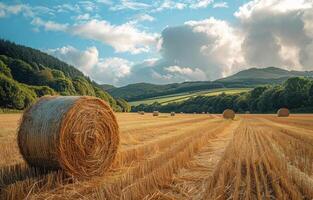 AI generated Hay bales on the field after harvest rural landscape photo