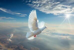 AI generated White dove in the sky photo