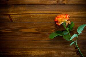 uno rojo hermosa floreciente Rosa en un de madera mesa foto