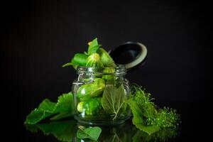 un conjunto de productos para decapado pepinos foto