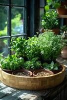 AI generated Herbs and other plants growing in pots on windowsill photo