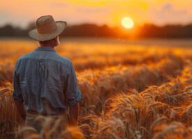 ai generado granjero en pie en trigo campo mirando a el puesta de sol foto