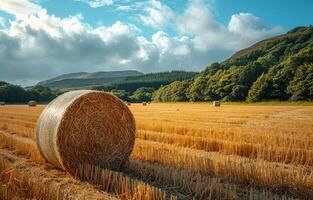 AI generated Hay bales in field with trees and hills in the background photo