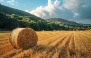 AI generated Hay bales on field in the scottish highlands photo