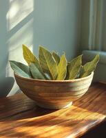 AI generated some bay leaves in a bowl on top of a wooden table photo