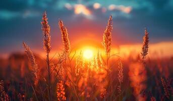 AI generated Beautiful summer landscape with grass in the field and sunset in the evening photo