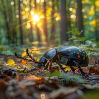 ai generado grande escarabajo gatea a lo largo el bosque piso a puesta de sol. foto