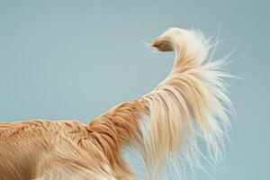 AI generated Close up wagging dogs tail. Generative AI photo