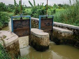 The water gate at the edge of the rice fields is wide open photo