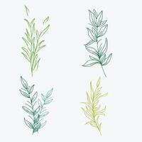 Green leaves and flowers with a white background vector