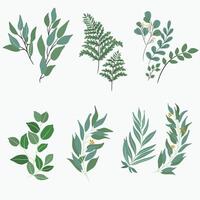 Plants Green leaf and Flowers background Modern Vector