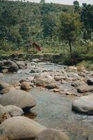 Refreshing Curug Sentul Clear River Flowing from Waterfall, Surrounded by Forests, Ideal for Nature Lovers photo