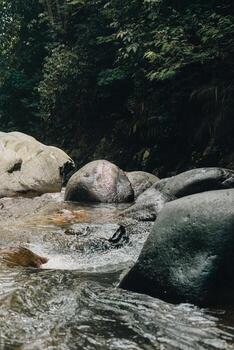 Refreshing Curug Sentul Clear River Flowing from Waterfall, Surrounded by Forests, Ideal for Nature Lovers photo