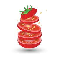 Vector tomato with slices and whole fruits of tomato Background