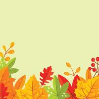 Autumn leaves, vector illustration White Background