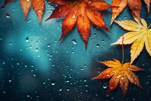 AI generated Autumn maple leaves on a background of blue Glass with raindrops photo