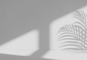 Background Grey Wall Studio with Light,Shadow Palm leaves on Display Podium,Empty White Room Concrete Surface Texture with Shelf Bar,Backdrop MockUp for Sping,Summer Cosmetic Product photo