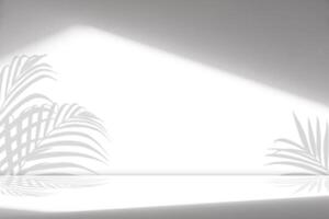 White Wall Studio Background.Empty Grey Room Background with Light,Coconut Palm Leaves Shadow on Table Top Surface Texture,Backdrop Mockup Display Podium Design for product presention of Cosmetic photo