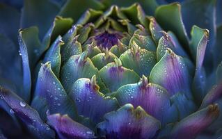 AI generated A macro shot capturing the intricate details and mesmerizing purple hues of an artichoke bloom photo