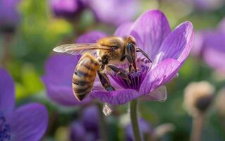 AI generated Observing a Bee As It Gathers Nectar from Petals photo