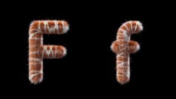 3D animation of a uppercase and lowercase Giraffe woolen letter F video