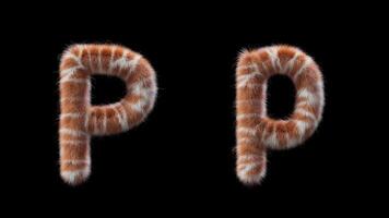 3d animatie van een hoofdletters en kleine letters giraffe wollen brief p video