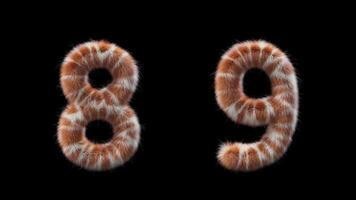 3D animation Giraffe woolen numbers 8 and 9 video