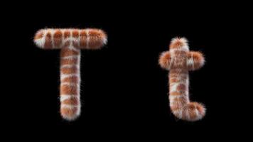 3D animation of a uppercase and lowercase Giraffe woolen letter T video