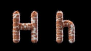 3D animation of a uppercase and lowercase Giraffe woolen letter H video