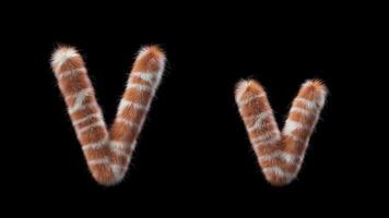 3D animation of a uppercase and lowercase Giraffe woolen letter V video