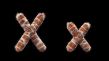 3d animazione di un' maiuscolo e minuscolo giraffa di lana lettera X video