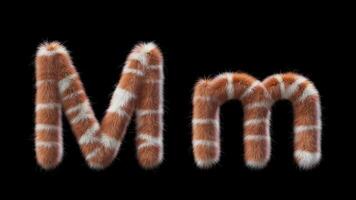 3D animation of a uppercase and lowercase Giraffe woolen letter M video