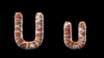 3D animation of a uppercase and lowercase Giraffe woolen letter U video