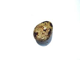 Quail egg on a white background photo