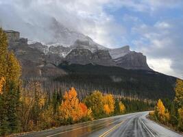 Wet road on an autumn day. photo