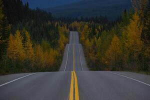 Beautiful straight road in Canada in autumn. photo