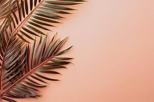 AI generated tropical palm leaves frame on peach background top view, beautiful floral template with copy space photo