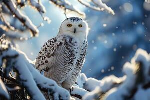 ai generado blanco búho sentado en un rama en un invierno Nevado bosque durante el día con borroso antecedentes foto